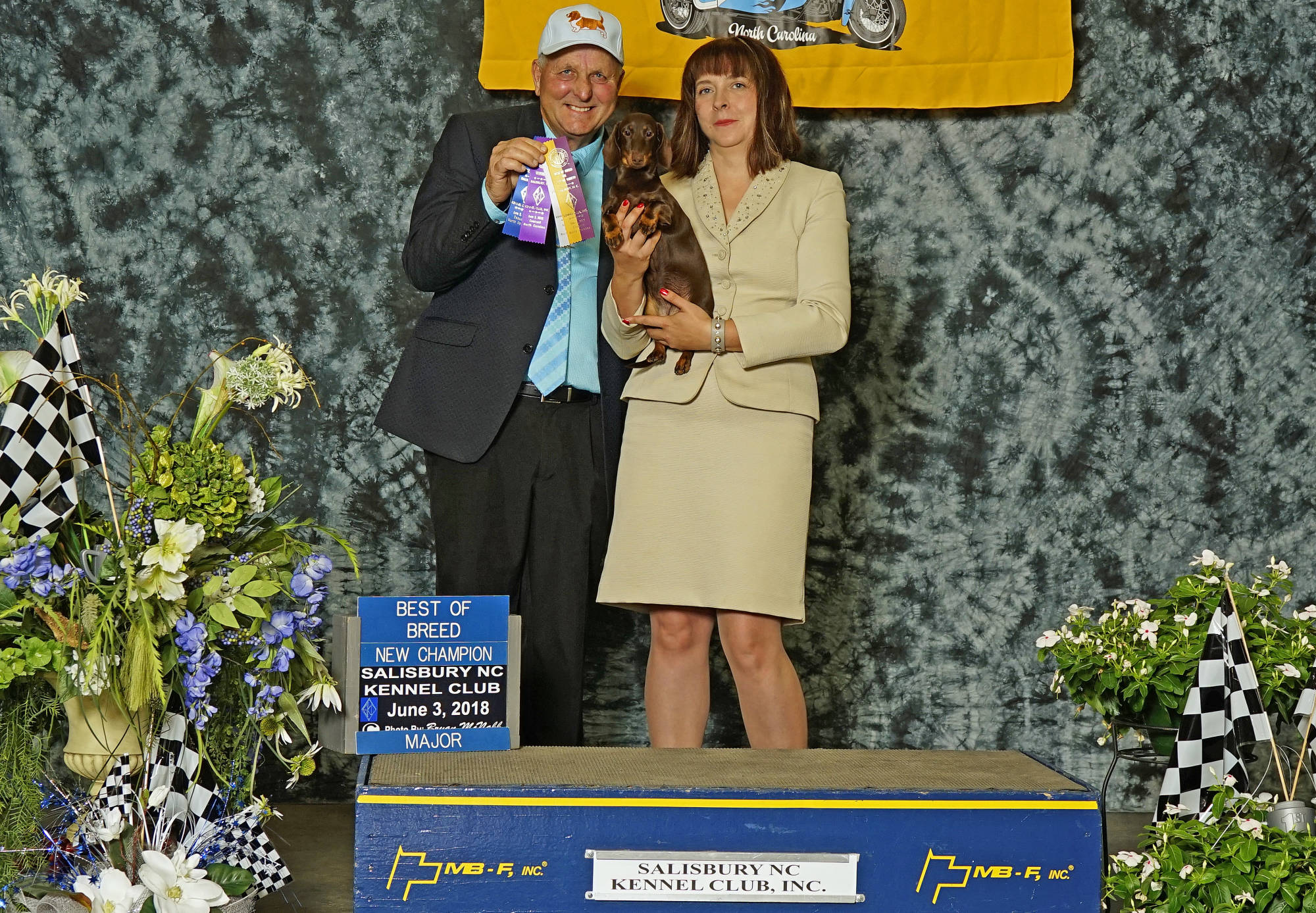 Chocolate Kaninchen Dachshund