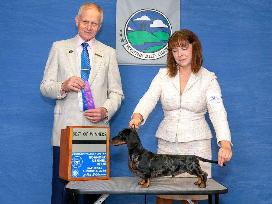 Ch.Zimerbude Cereteli